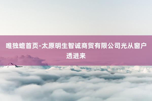 唯独蟾首页-太原明生智诚商贸有限公司光从窗户透进来